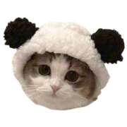 天城ゆな 4/18 Kさんへ ニューハーフヘルスSURPRISE ONE梅田店