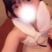 ヒメ日記 2026/03/25 21:13 投稿 うるは 恋するバニー