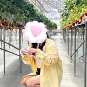 ヒメ日記 2026/03/01 13:26 投稿 える 東京リップ 渋谷店