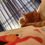 ヒメ日記 2026/03/22 13:00 投稿 そら 僕らのぽっちゃリーノin春日部