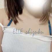 ヒメ日記 2026/09/25 18:44 投稿 しずく ELLE