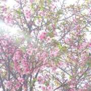 ヒメ日記 2026/03/30 18:02 投稿 かほ 鹿児島ちゃんこ 薩摩川内店