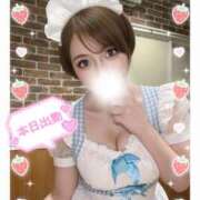 ヒメ日記 2026/03/09 07:01 投稿 春風　まろん メイドin西川口（埼玉ハレ系）