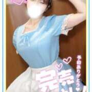 ヒメ日記 2026/03/23 18:55 投稿 春風　まろん メイドin西川口（埼玉ハレ系）