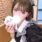 ヒメ日記 2026/09/20 07:01 投稿 春風　まろん メイドin西川口（埼玉ハレ系）