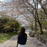 すず 出勤🌸 ファーストレディ(博多)