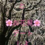 ヒメ日記 2026/04/02 13:14 投稿 みすず 人妻倶楽部 内緒の関係 大宮店