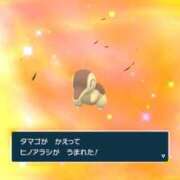 ヒメ日記 2026/03/08 15:34 投稿 しほ クンニ専門店 おクンニ学園 池袋校