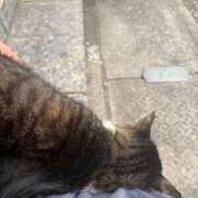 ヒメ日記 2026/03/07 16:39 投稿 みいな アネックスジャパン