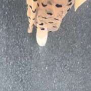 ヒメ日記 2026/04/13 09:08 投稿 みすず 人妻倶楽部 内緒の関係 川越店