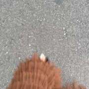 ヒメ日記 2026/03/22 10:05 投稿 みすず 人妻倶楽部内緒の関係 春日部店