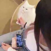 ヒメ日記 2026/03/18 22:59 投稿 ここあ 櫻女学院