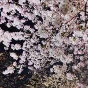 ヒメ日記 2026/04/04 19:17 投稿 ありす 秋葉原鑑賞ガール