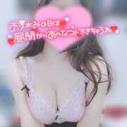 ヒメ日記 2026/03/20 12:12 投稿 みほ 新宿本店 ぽちゃカワ女子専門店