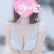 ヒメ日記 2026/09/26 12:01 投稿 みほ 新宿本店 ぽちゃカワ女子専門店