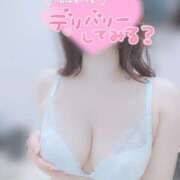 ヒメ日記 2026/10/11 12:07 投稿 みほ 新宿本店 ぽちゃカワ女子専門店