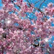 小梅みのり ♡満開… ♡ 地元女子のメンズエステ AROMA DREAM