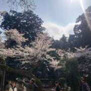 ヒメ日記 2026/03/29 11:34 投稿 えみ モアグループ神栖人妻花壇