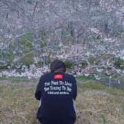 ヒメ日記 2026/04/01 07:31 投稿 えみ モアグループ神栖人妻花壇