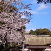 ヒメ日記 2026/04/03 15:29 投稿 えみ モアグループ神栖人妻花壇