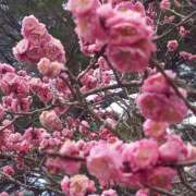 ヒメ日記 2026/03/17 18:54 投稿 西田ちえ 五十路マダムエクスプレス横浜店（カサブランカグループ）