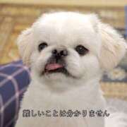 ヒメ日記 2026/04/21 07:39 投稿 ななこ ラブレター