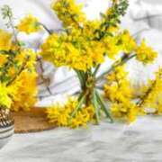 ヒメ日記 2026/02/28 11:48 投稿 飯森ゆりか(いいもりゆりか) 五十路マダムエクスプレス厚木店(カサブランカグループ)