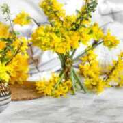 ヒメ日記 2026/03/05 23:16 投稿 飯森ゆりか(いいもりゆりか) 五十路マダムエクスプレス厚木店(カサブランカグループ)