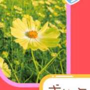 ヒメ日記 2026/03/10 12:08 投稿 飯森ゆりか(いいもりゆりか) 五十路マダムエクスプレス厚木店(カサブランカグループ)