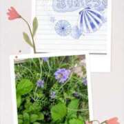 飯森ゆりか(いいもりゆりか) ありがとう。。 五十路マダムエクスプレス厚木店(カサブランカグループ)