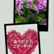 ヒメ日記 2026/04/17 22:30 投稿 飯森ゆりか(いいもりゆりか) 五十路マダムエクスプレス厚木店(カサブランカグループ)