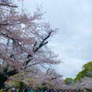 ヒメ日記 2026/04/22 18:03 投稿 琴葉-ことは【FG系列】 ほんとうの人妻　柏店