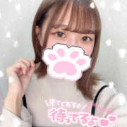 ヒメ日記 2026/02/22 15:17 投稿 みみ abc＋