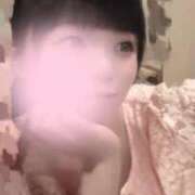 ヒメ日記 2026/03/17 23:46 投稿 ヒナ ラブコレクション