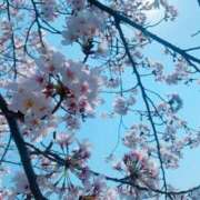 ヒメ日記 2026/03/11 21:40 投稿 南ゆな 渋谷エオス