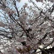 南ゆな 🌸 渋谷エオス