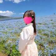 ヒメ日記 2026/04/11 08:47 投稿 かれん 東京リップ 池袋店