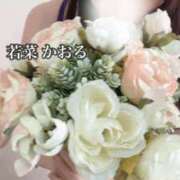 ヒメ日記 2026/03/19 02:52 投稿 若菜　かおる YUDEN〜油殿〜谷九・日本橋店