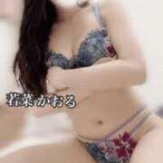 ヒメ日記 2026/03/19 16:45 投稿 若菜　かおる YUDEN〜油殿〜谷九・日本橋店