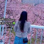 ヒメ日記 2026/04/01 08:15 投稿 若菜　かおる YUDEN〜油殿〜谷九・日本橋店