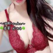 ヒメ日記 2026/04/02 07:45 投稿 若菜　かおる YUDEN〜油殿〜谷九・日本橋店