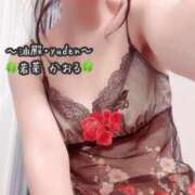 ヒメ日記 2026/04/02 23:15 投稿 若菜　かおる YUDEN〜油殿〜谷九・日本橋店