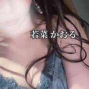 ヒメ日記 2026/08/24 19:45 投稿 若菜　かおる YUDEN〜油殿〜谷九・日本橋店