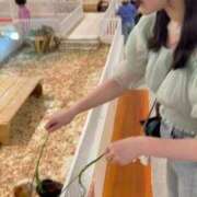 ヒメ日記 2026/05/27 03:42 投稿 りさ◆極上美女と濃厚密着プレイ 即イキ淫乱倶楽部 柏店