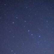 ヒメ日記 2026/03/04 19:59 投稿 とうか 千葉人妻花壇