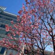 ヒメ日記 2026/02/28 16:44 投稿 おとは ダイスキ