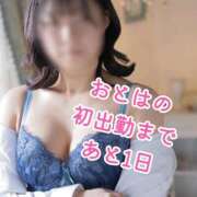 ヒメ日記 2026/03/01 06:30 投稿 おとは ダイスキ