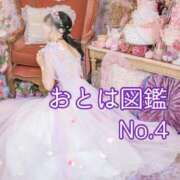 ヒメ日記 2026/03/09 14:21 投稿 おとは ダイスキ