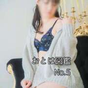 ヒメ日記 2026/03/10 13:45 投稿 おとは ダイスキ