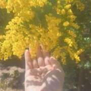 ヒメ日記 2026/03/10 16:16 投稿 おとは ダイスキ